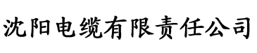 调教的锁电缆厂logo